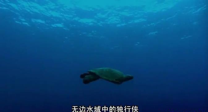 360截图20201121230827119.jpg