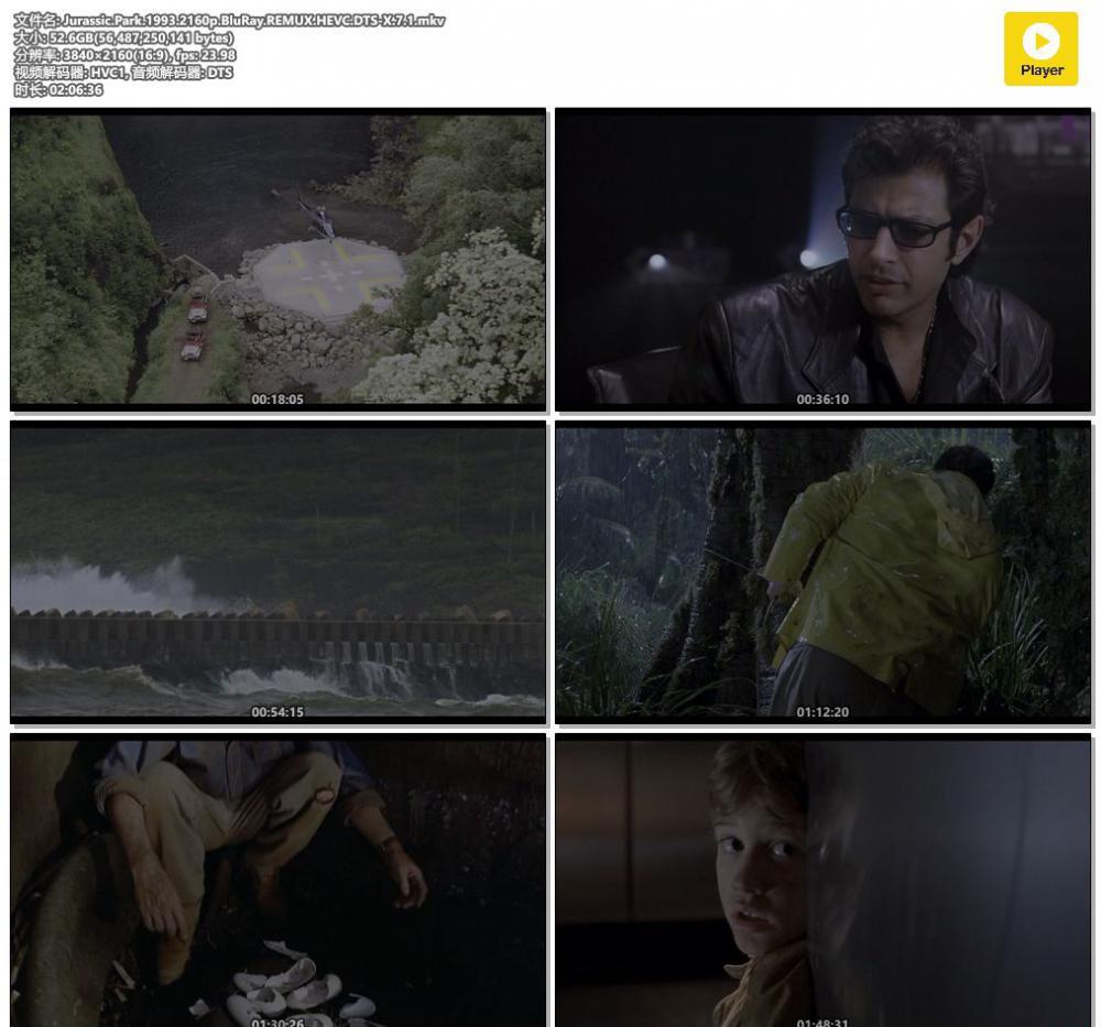 Jurassic.Park.1993.2160p.BluRay.REMUX.HEVC.DTS-X.7.1.mkv.jpg