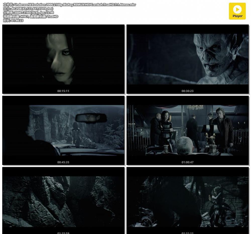 Underworld.Evolution.2006.2160p.BluRay.REMUX.HEVC.en&amp;zh.TrueHD.7.1.Atmos.mkv.jpg